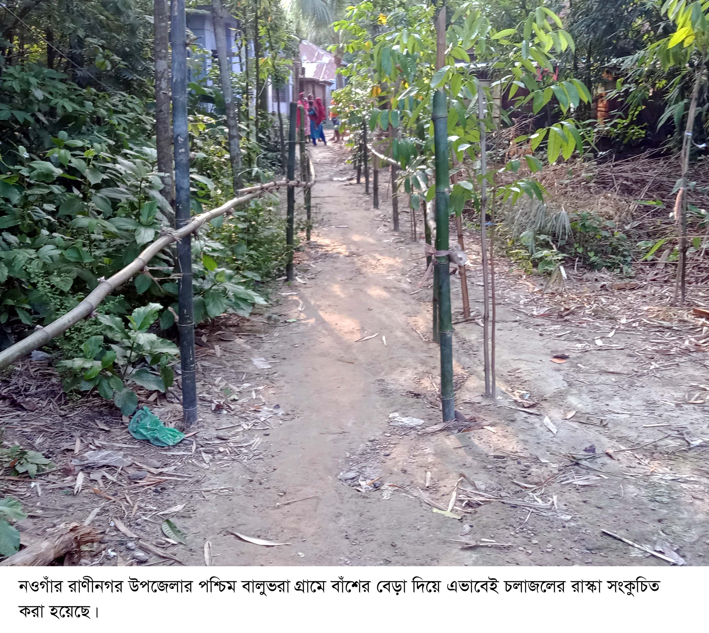 রাণীনগরে বাঁশের বেড়া দিয়ে চলাচলের রাস্তা সংকুচিত করার অভিযোগ