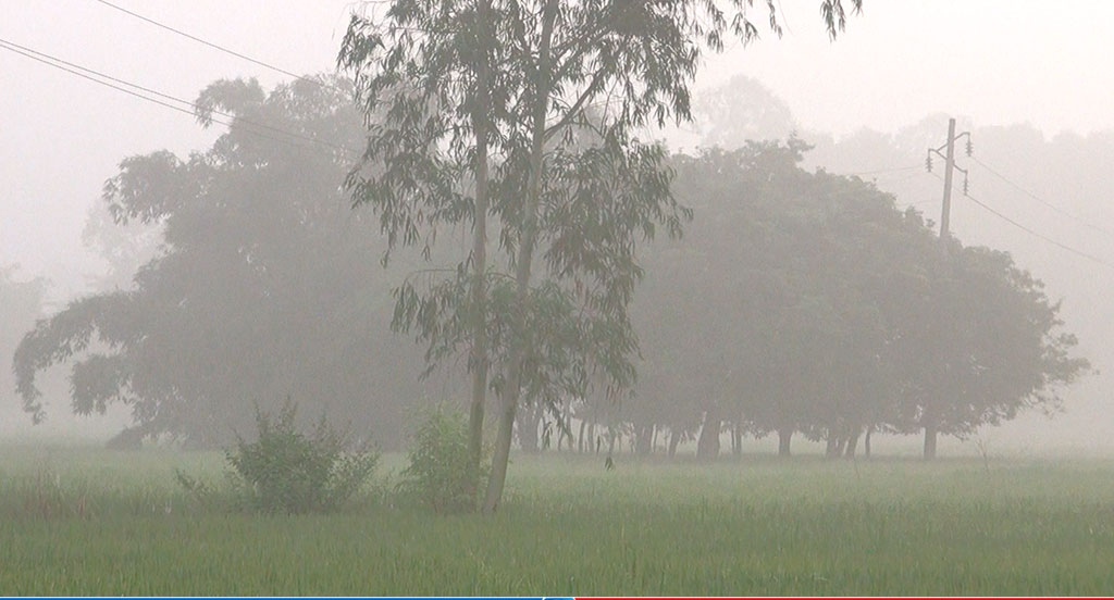 রাণীশংকৈলে শরতেই শীতের আগমনী বার্তা, দেখা মিলছে কুয়াশার