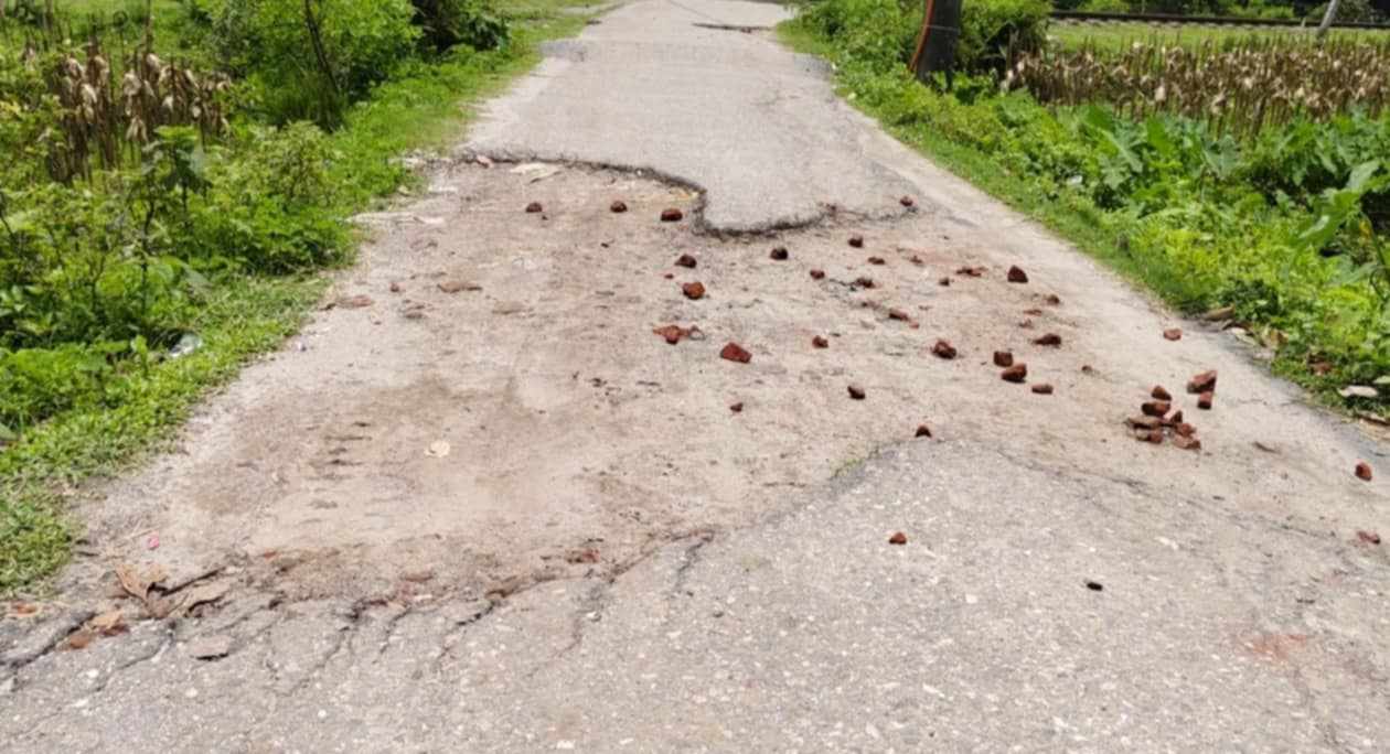 আট শিক্ষা প্রতিষ্ঠানে যাতায়াতের একমাত্র রাস্তার বেহাল দশা, সংস্কারের দাবি এলাকাবাসীর