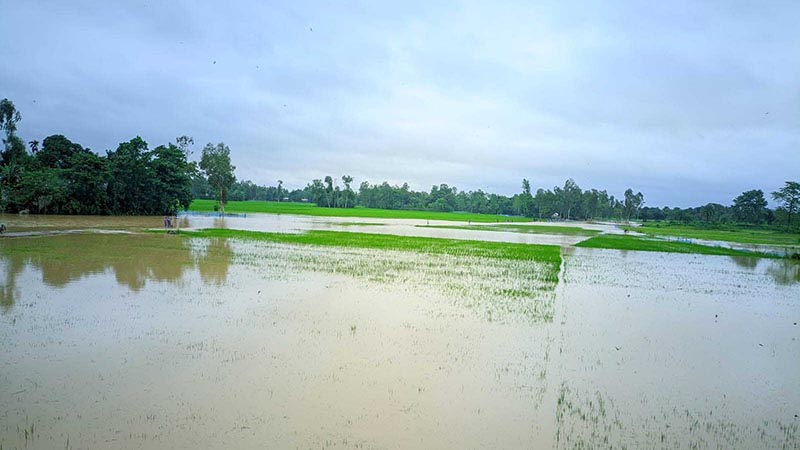 রৌমারীতে পাহাড়ি ঢলে নিম্নাঞ্চল প্লাবিত, চরম ভোগান্তিতে এলাকাবাসী