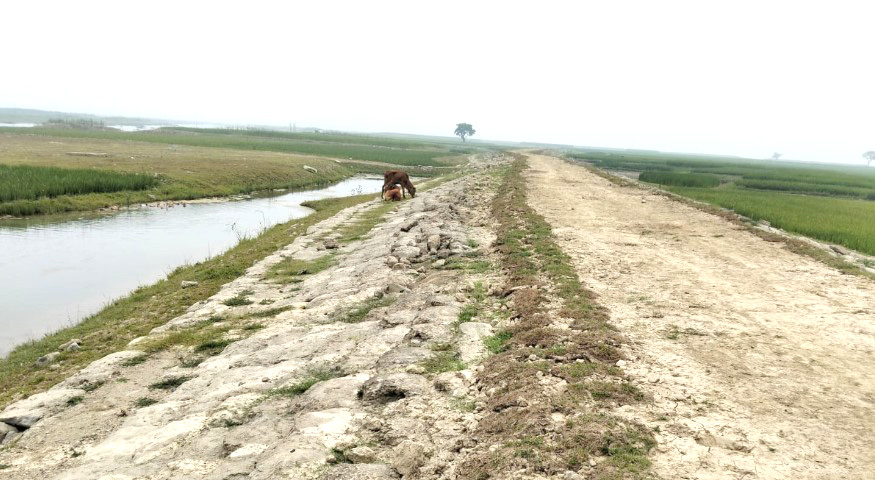 হাওরে বেড়িবাঁধ নির্মাণে স্বস্তি কৃষকদের