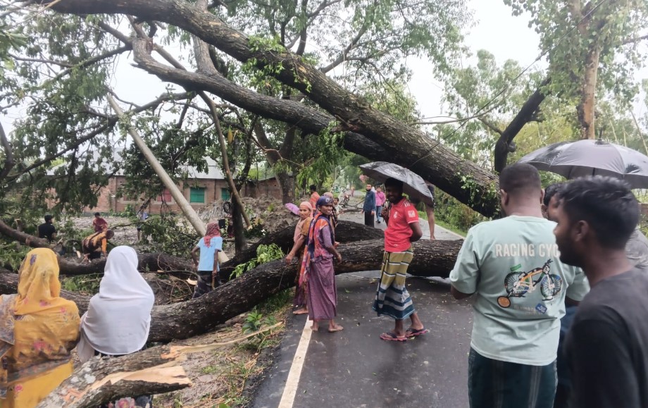আক্কেলপুরে কালবৈশাখীর তাণ্ডব: গাছ উপড়ে ৮ ঘণ্টা সড়ক যোগাযোগ বন্ধ