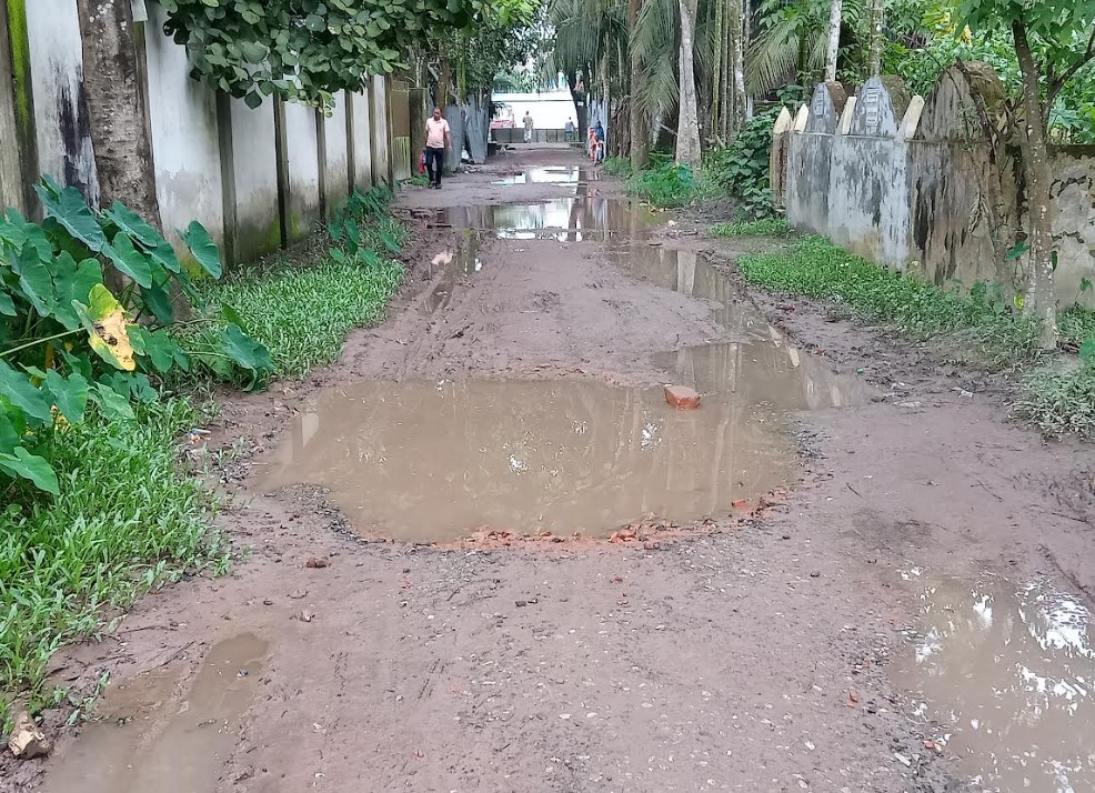 রুপাতলী গ্যাস টারবাইন-পাটনীবাড়ী সড়কের বেহাল দশা, ভোগান্তিতে বাসিন্দারা