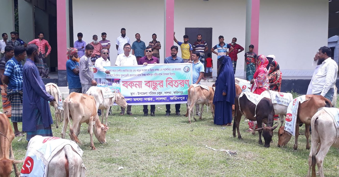 সালথায় জেলেদের মাঝে বকনা বাছুর বিতরণ
