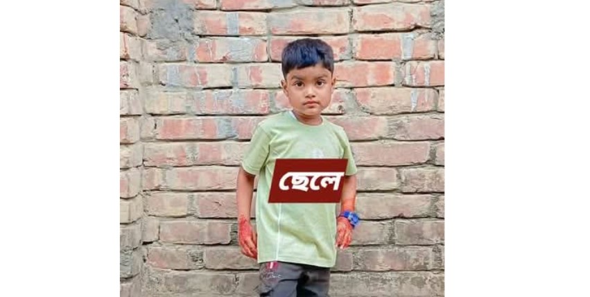 বদলগাছীতে সাপের দংশনে প্রাণ গেল ৭ বছরের শিশু তামিমের