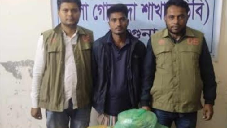 আমতলীতে গাঁজাসহ মাদক ব্যবসায়ী গ্রেপ্তার