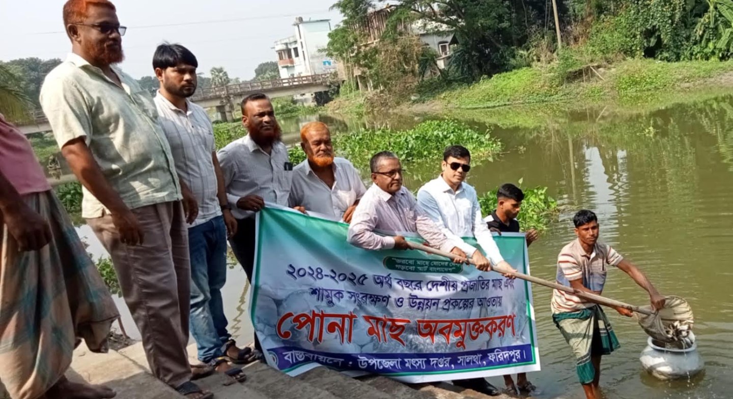 সালথায় দেশীয় প্রজাতির পোনামাছ অবমুক্তকরণ