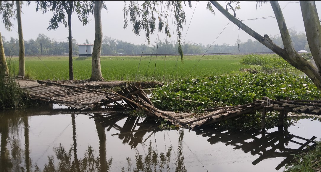 চিলাহাটিতে বাঁশের সাঁকো ভেঙে পড়ায় দুর্ভোগ
