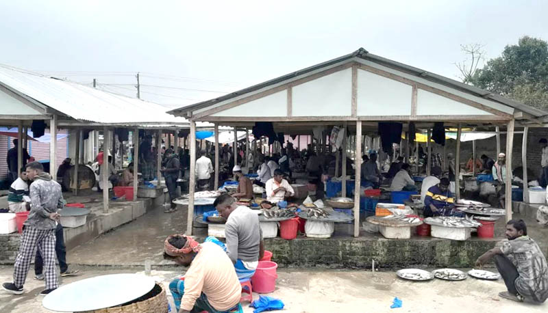 কাঁচাবাজার দখল করে বিএনপি নেতার চাঁদাবাজি, আদালতে মামলা