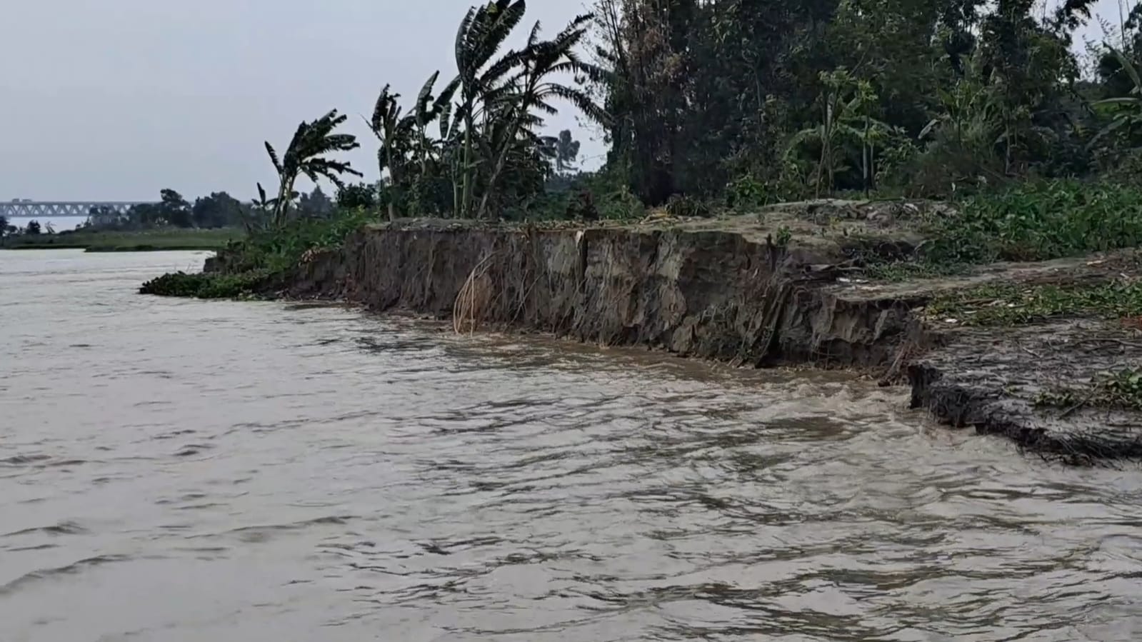 শরীয়তপুরে অবৈধ বালু উত্তোলন: ভাঙনে দিশেহারা পদ্মা পাড়ের মানুষ