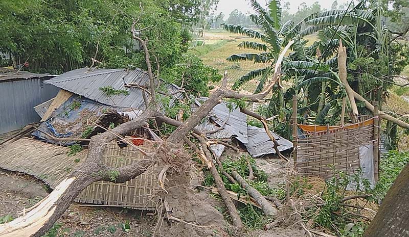 কাউনিয়ায় ঘুর্ণিঝড়ে দুই শতাধিক বাড়ীঘর লন্ডভন্ড, ফসলের ব্যাপক ক্ষতি