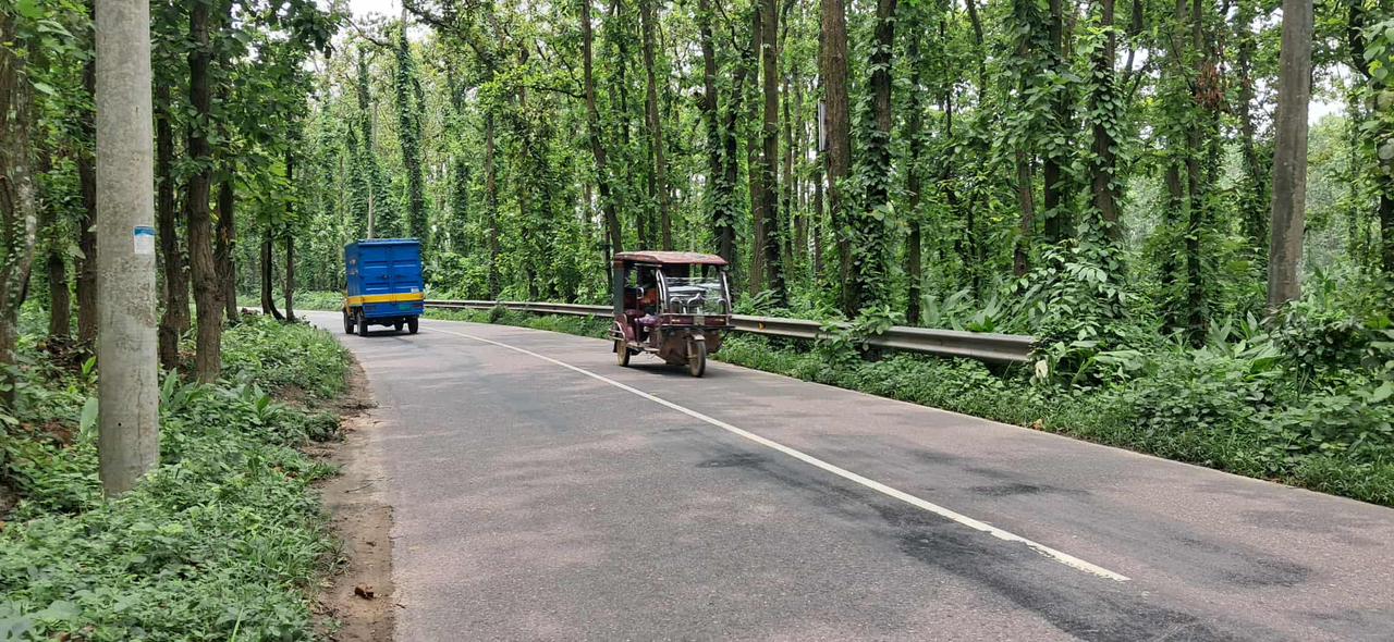 মাওনা-কালিয়াকৈর সড়ক: প্রকৃতির নয়নাভিরাম রূপের বাঁকে বাঁকে মৃত্যুর হাতছানি