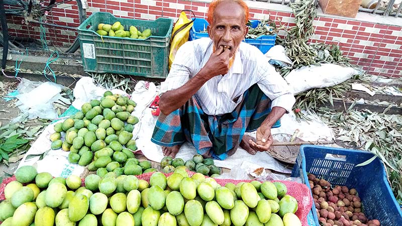ঠাকুরগাঁওয়ে বাজারে উঠতে শুরু করেছে আম