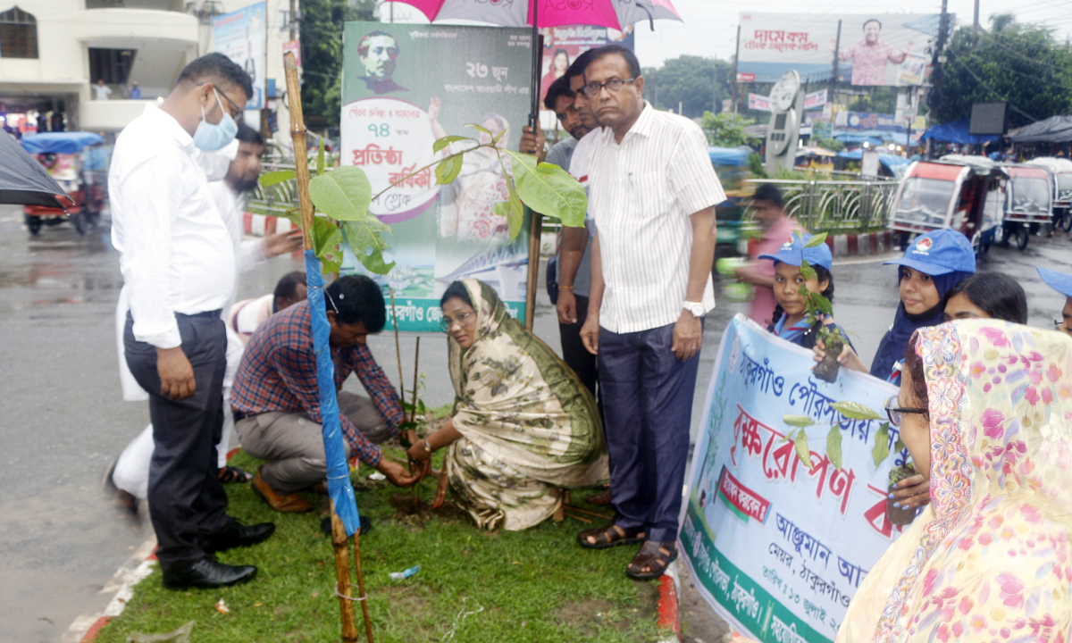 ঠাকুরগাঁও পৌরসভার বৃক্ষরোপণ কর্মসূচী পালিত