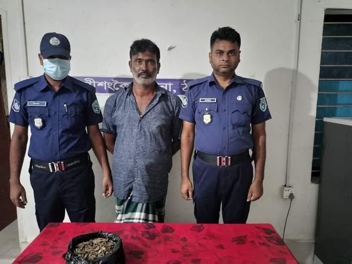 গাঁজাসহ মাদক ব্যবসায়ী আটক ১