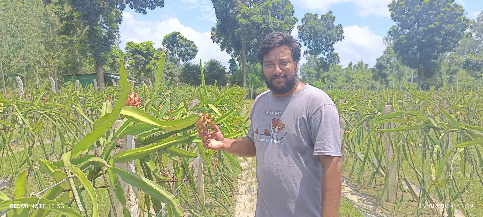 চাকরি ছেড়ে ড্রাগন চাষে রাণীশংকৈলের অভিকের বাজিমাত