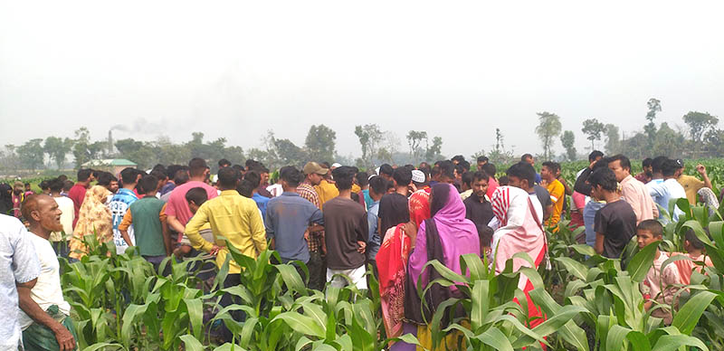 রাণীশংকৈলে ভুট্টাক্ষেত থেকে ইমামের মরদেহ উদ্ধার