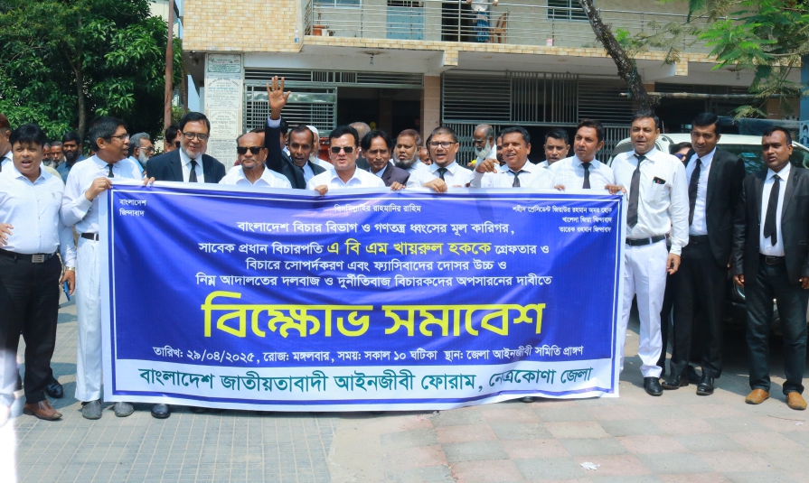নেত্রকোণায় বিএনপি সমর্থিত আইনজীবীদের বিক্ষোভ