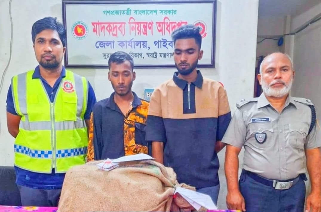 পলাশবাড়ীতে ১০ কেজি গাঁজাসহ দুই যুবক আটক