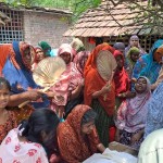 চুয়াডাঙ্গায় মৌমাছির আক্রমণে ভ্যানচালকের মৃত্যু