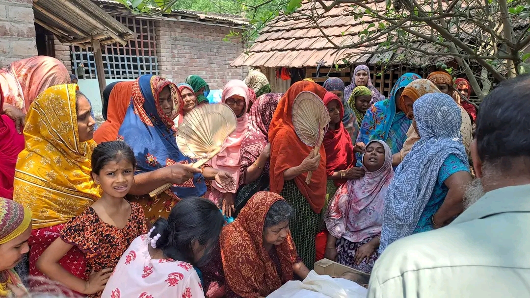 চুয়াডাঙ্গায় মৌমাছির আক্রমণে ভ্যানচালকের মৃত্যু