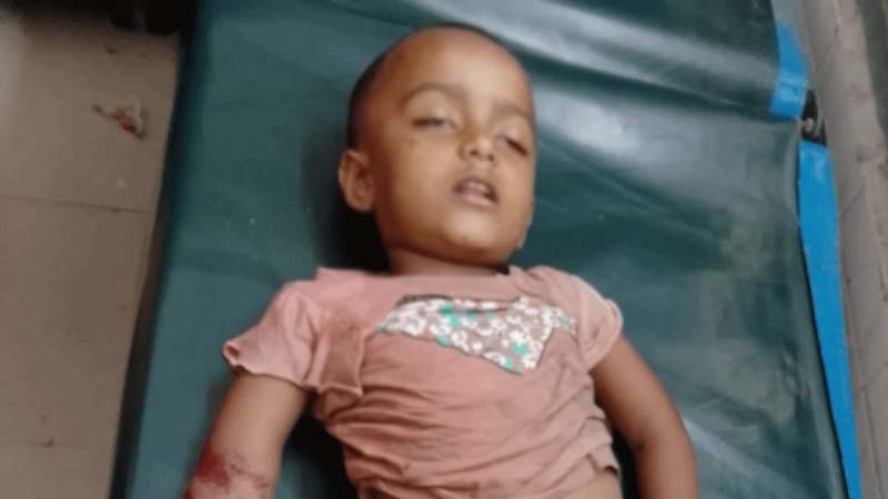 চুয়াডাঙ্গায় পাখিভ্যানের ধাক্কায় শিশুর মৃত্যু