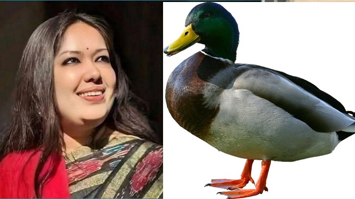 মনোনয়ন না পেয়ে আক্ষেপে রুমিন ফারহানা: আমার হাঁস, আমার চাষ করা ধানই খাবে