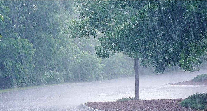 পাঁচ বিভাগে বজ্রসহ বৃষ্টির পূর্বাভাস