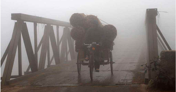 চলতি মাসে দেশে বয়ে যেতে পারে ৫টি শৈত্যপ্রবাহ