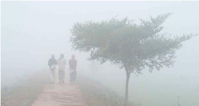 তাপমাত্রা ৮ ডিগ্রিতে নামতে পারে যেসব জেলায়