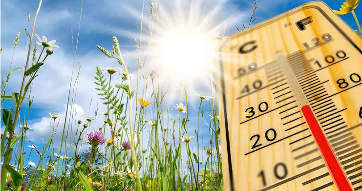 বসন্তের তাপমাত্রা কেমন থাকবে, জানালো আবহাওয়া অধিদপ্তর