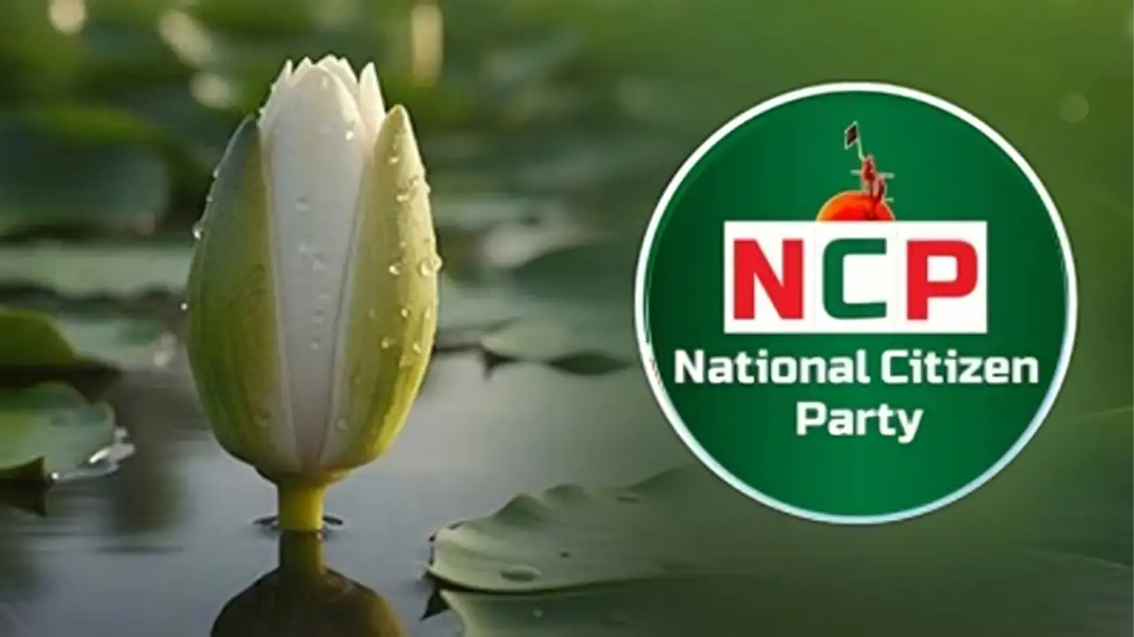 ঢাকায় এনসিপির জাতীয় কনভেনশন আজ: অর্থনীতি থেকে গণতন্ত্র-বড় আলোচনায় রাজনৈতিক ও সুশীল সমাজ