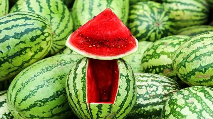 এবার ১০০ টাকায় মিলবে পাঁচ কেজির তরমুজ