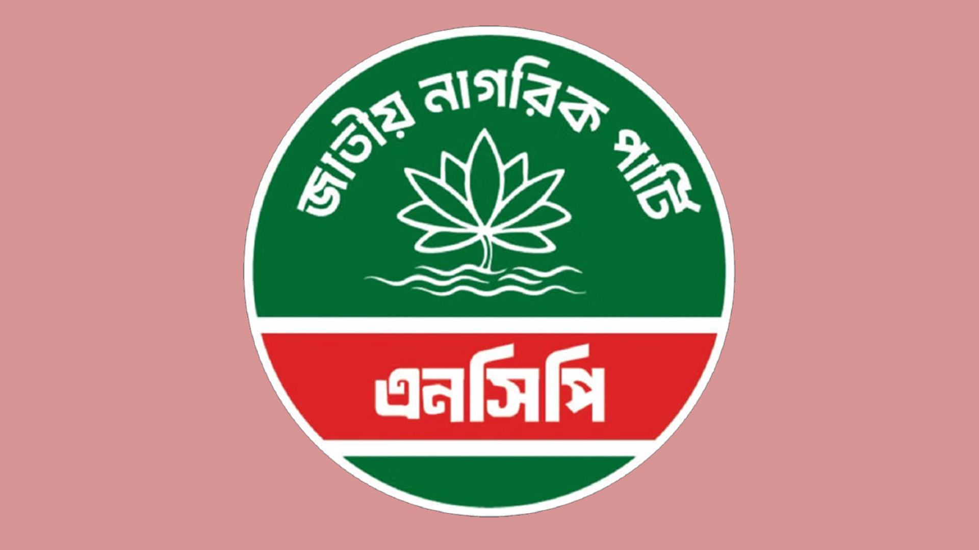 পদত্যাগ করেন এনসিপির আরও ১২ নেতা
